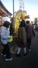 津島神社で参拝(ゝω∂)