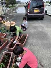 入れてくれた土に苗をみんなで植えました（●＾o＾●）