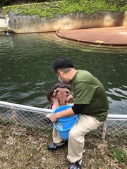 カバさんに飼育委員さんが、餌をあげていました(o^^o)